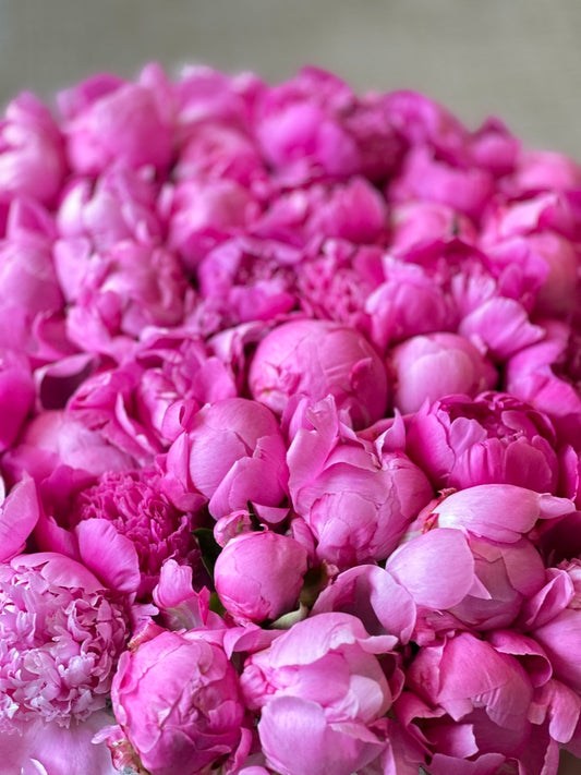 #25 Box of Peonies
