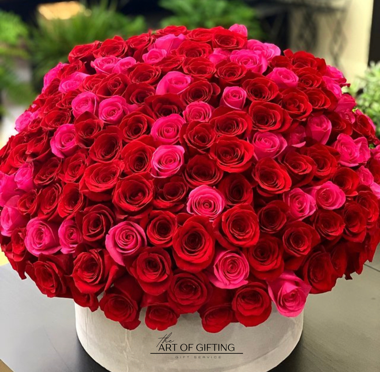 #44 Roses Paradise