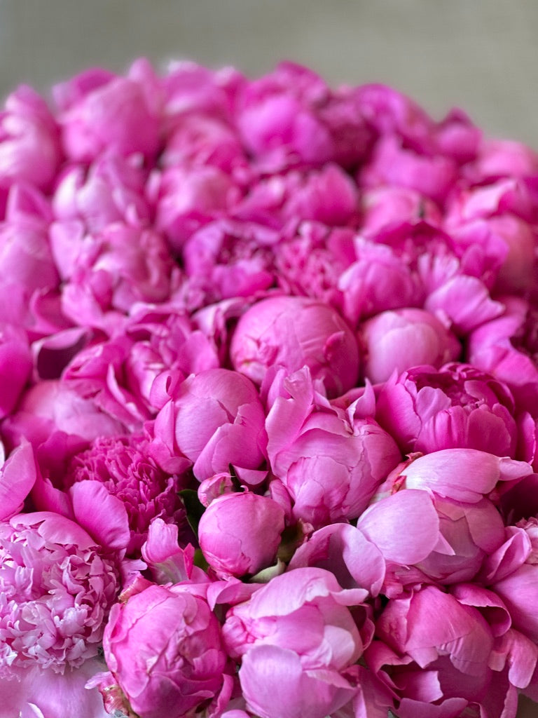 #24 Box of Peonies